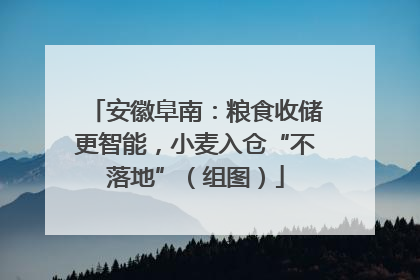 安徽阜南：粮食收储更智能，小麦入仓“不落地”（组图）