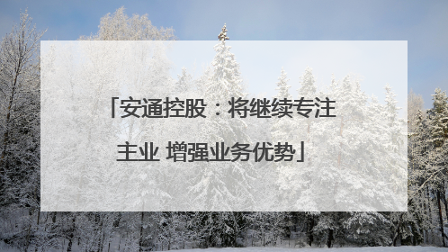 安通控股：将继续专注主业 增强业务优势