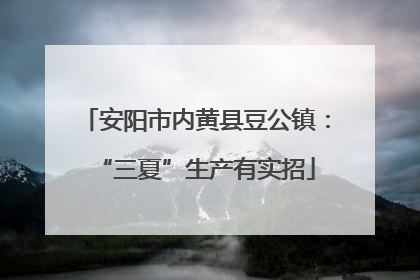 安阳市内黄县豆公镇：“三夏”生产有实招
