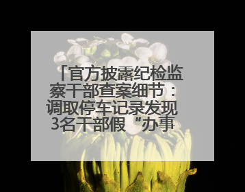 官方披露纪检监察干部查案细节：调取停车记录发现3名干部假“办事”真麻将
