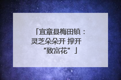 宜章县梅田镇：灵芝朵朵开 撑开“致富花”