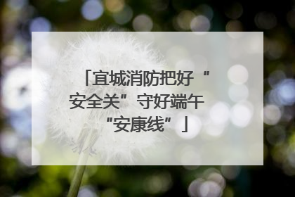 宜城消防把好“安全关”守好端午“安康线”