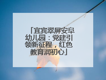 宜宾翠屏安阜幼儿园：党建引领新征程，红色教育润初心