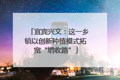 宜宾兴文：这一乡镇以创新种植模式拓宽“增收路”