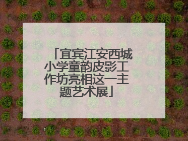 宜宾江安西城小学童韵皮影工作坊亮相这一主题艺术展