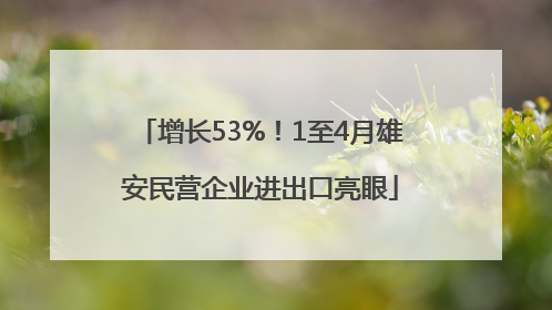 增长53%！1至4月雄安民营企业进出口亮眼