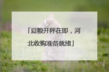 夏粮开秤在即，河北收购准备就绪
