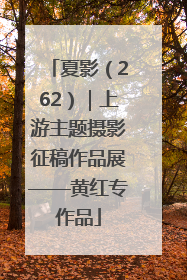 夏影（262）｜上游主题摄影征稿作品展——黄红专作品
