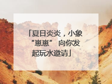 夏日炎炎，小象“崽崽” 向你发起玩水邀请