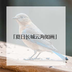 夏日长城云海如画