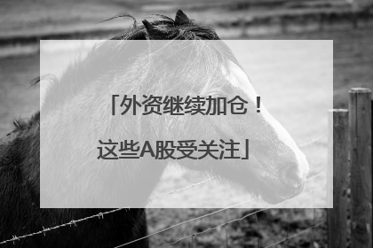 外资继续加仓！这些A股受关注
