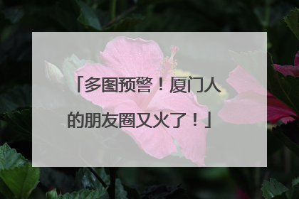 多图预警！厦门人的朋友圈又火了！