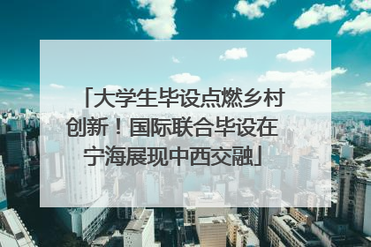 大学生毕设点燃乡村创新！国际联合毕设在宁海展现中西交融