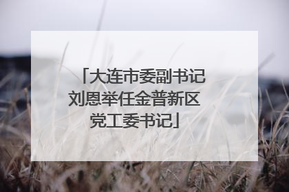 大连市委副书记刘恩举任金普新区党工委书记