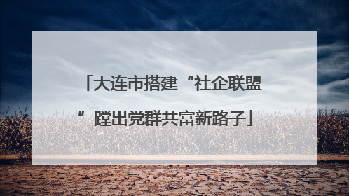 大连市搭建“社企联盟”蹚出党群共富新路子