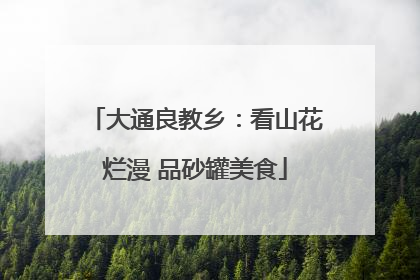 大通良教乡：看山花烂漫 品砂罐美食