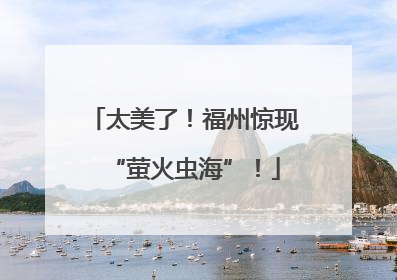太美了！福州惊现“萤火虫海”！