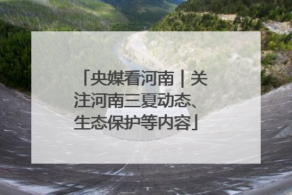 央媒看河南｜关注河南三夏动态、生态保护等内容