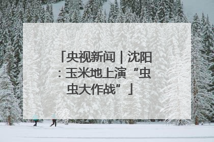 央视新闻｜沈阳：玉米地上演“虫虫大作战”