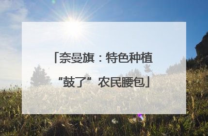奈曼旗：特色种植“鼓了”农民腰包