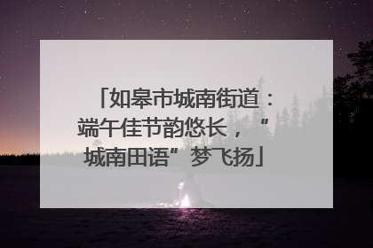 如皋市城南街道：端午佳节韵悠长，“城南田语”梦飞扬