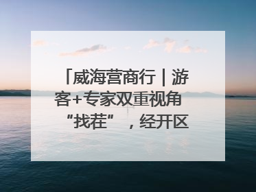威海营商行｜游客+专家双重视角“找茬”，经开区文旅市场开展暑期前“体检”