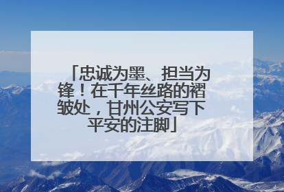 忠诚为墨、担当为锋！在千年丝路的褶皱处，甘州公安写下平安的注脚