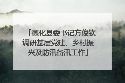 德化县委书记方俊钦调研基层党建、乡村振兴及防汛备汛工作
