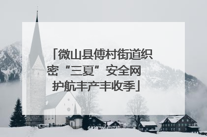 微山县傅村街道织密“三夏”安全网 护航丰产丰收季