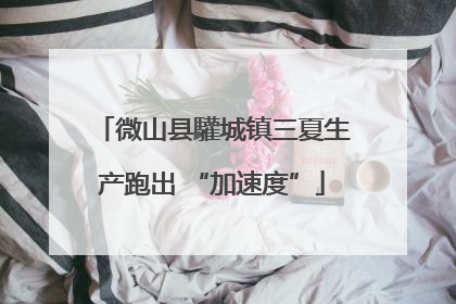 微山县驩城镇三夏生产跑出 “加速度”
