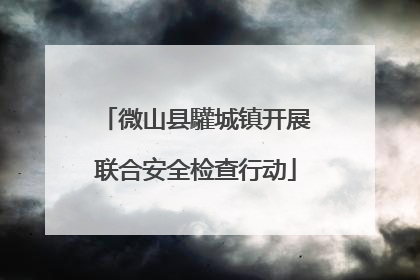 微山县驩城镇开展联合安全检查行动