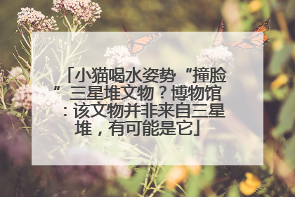 小猫喝水姿势“撞脸”三星堆文物？博物馆：该文物并非来自三星堆，有可能是它