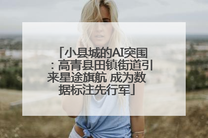 小县城的AI突围：高青县田镇街道引来星途旗航 成为数据标注先行军