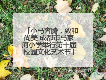 小马奔腾，致和尚美 成都市马家河小学举行第十届校园文化艺术节