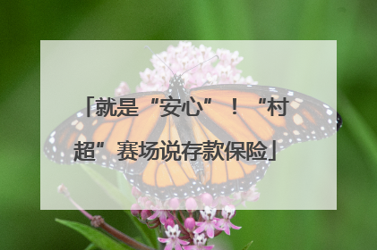 就是“安心”！“村超”赛场说存款保险