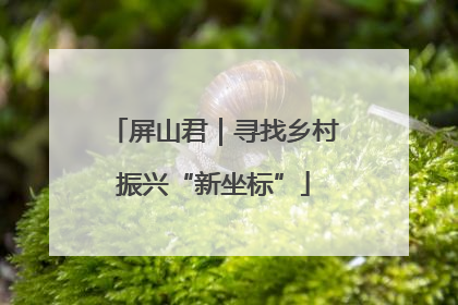 屏山君｜寻找乡村振兴“新坐标”