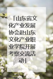 山东省文化产业发展协会赴山东文化产业职业学院开展考察交流活动