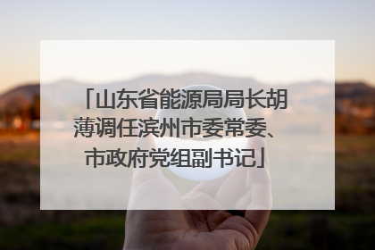 山东省能源局局长胡薄调任滨州市委常委、市政府党组副书记