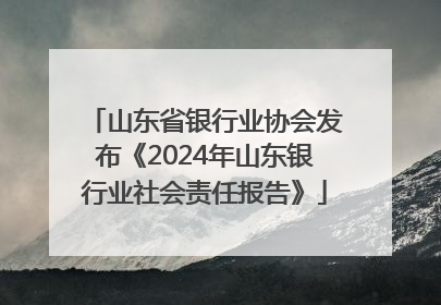 山东省银行业协会发布《2024年山东银行业社会责任报告》