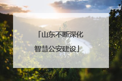 山东不断深化智慧公安建设