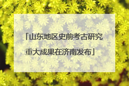 山东地区史前考古研究重大成果在济南发布