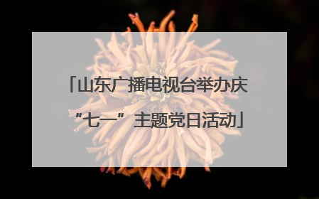 山东广播电视台举办庆“七一”主题党日活动