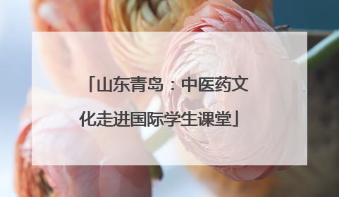 山东青岛：中医药文化走进国际学生课堂