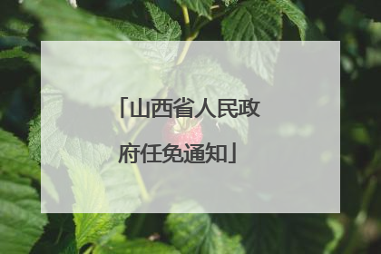 山西省人民政府任免通知