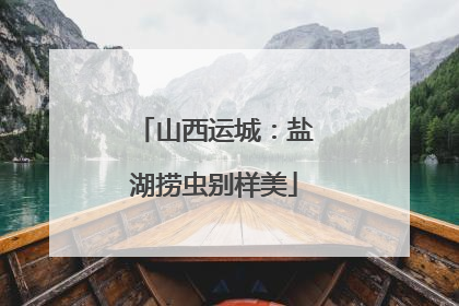 山西运城：盐湖捞虫别样美