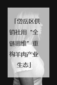 岱岳区供销社用“全链思维”重构羊肉产业生态