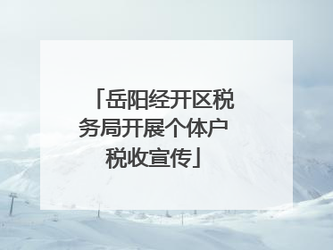 岳阳经开区税务局开展个体户税收宣传