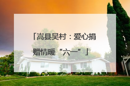 嵩县吴村：爱心捐赠情暖“六一”