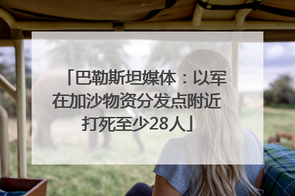 巴勒斯坦媒体：以军在加沙物资分发点附近打死至少28人