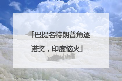 巴提名特朗普角逐诺奖，印度恼火